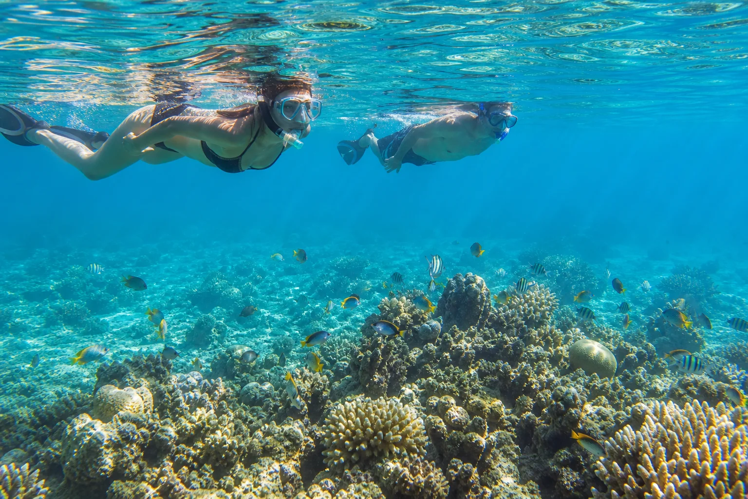 Diani Beach Escape wildlife and landscape