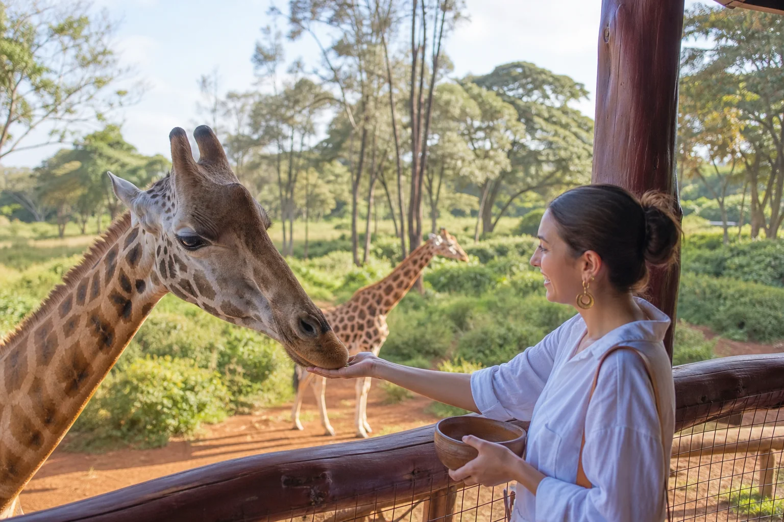 Giraffe & Elephant Day